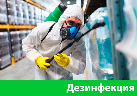 Дезинфекция в городе Глазов
