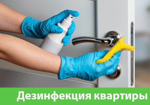 Дезинфекция квартиры в городе Глазов