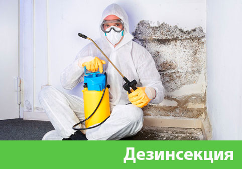 Дезинсекция в городе Глазов