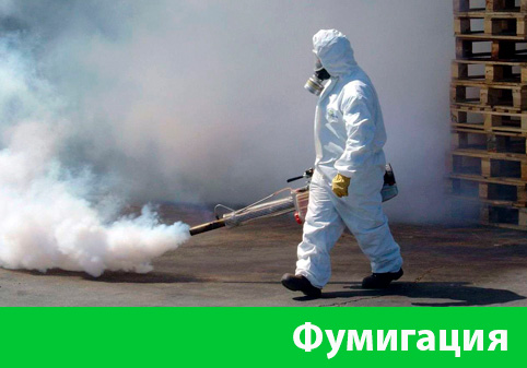 Фумигация в городе Глазов