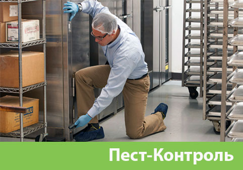 Пэст-Контроль в городе Глазов