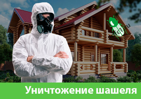 Уничтожение шашеля и личинок в Глазове