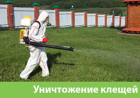 Уничтожение клещей в городе Глазов