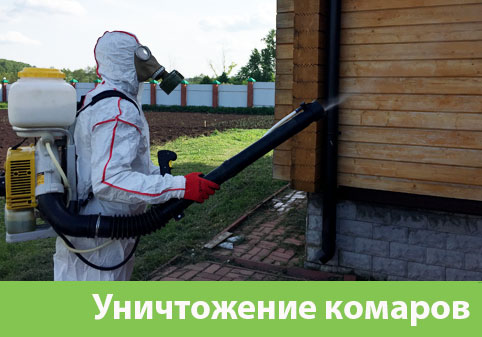 Уничтожение комаров в городе Глазов